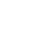 Siddhi Group